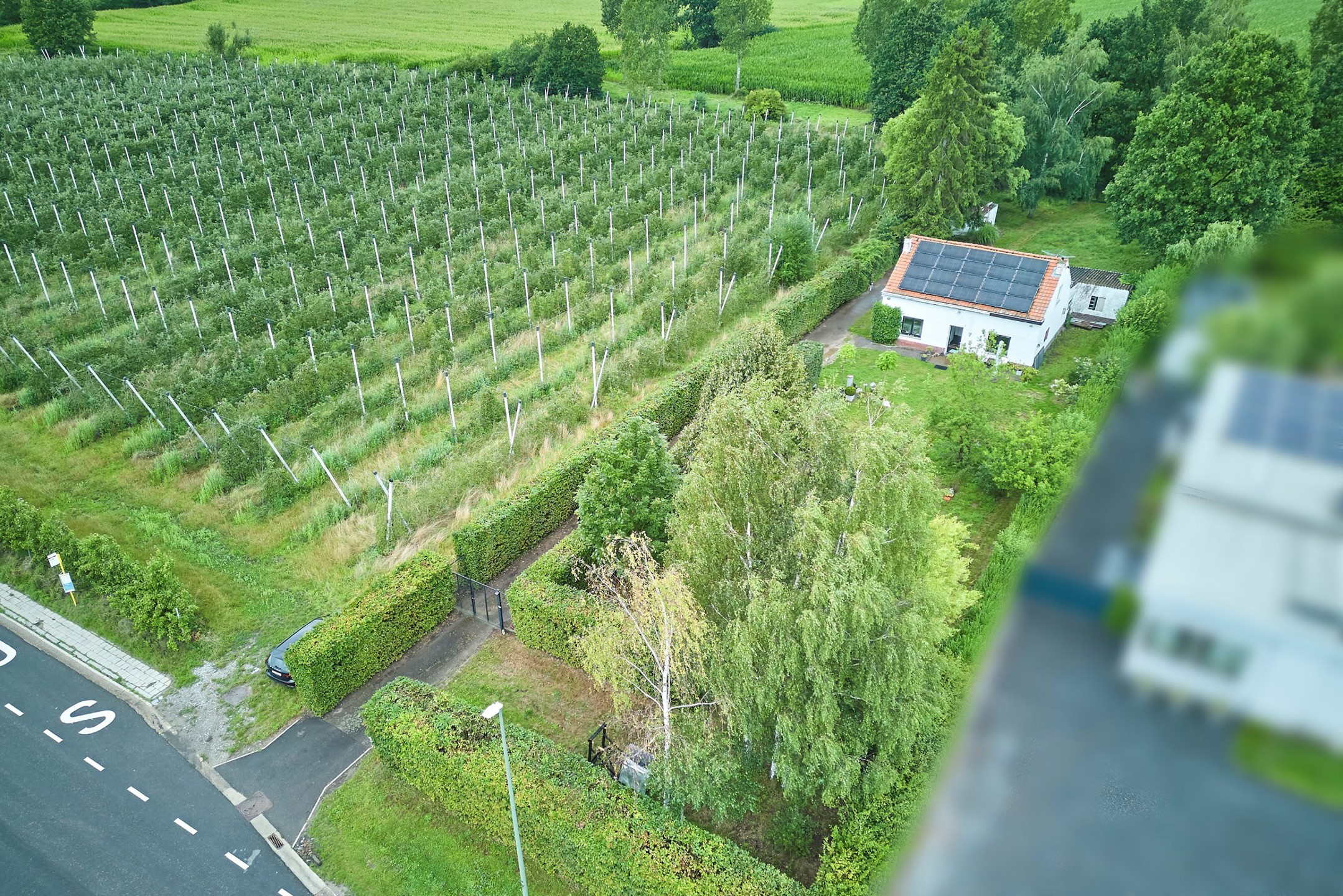 Prachtig gelegen woning in het groen - foto 2
