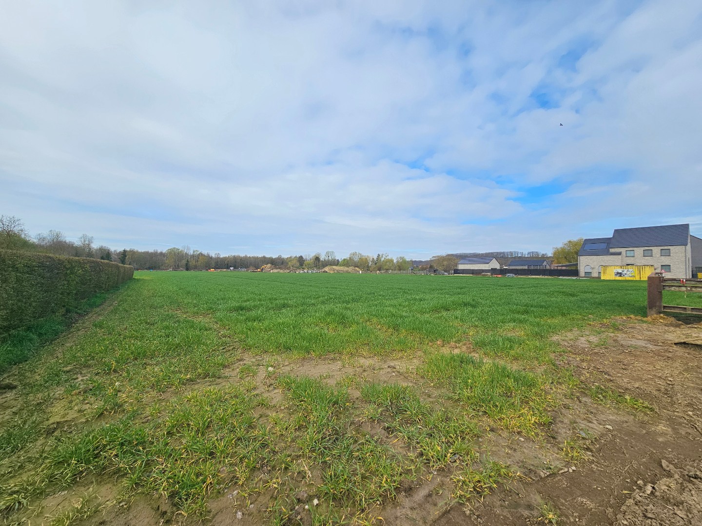Grond te koop in Wezemaal - foto 2