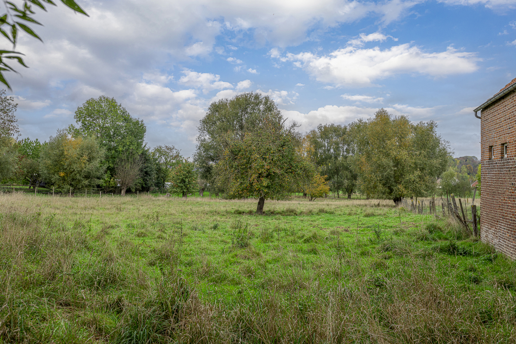Bouwgrond 7a62ca voor halfopen bebouwing te Gooik - foto 4
