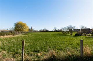 2 mooie bouwgronden in rustige straat van elk 10 are. Ideale breedte van 20m met 50m diep. Doe een bod vanaf 215.000€ per lot.