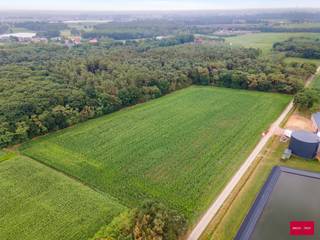Land for sale in Hoogstraten