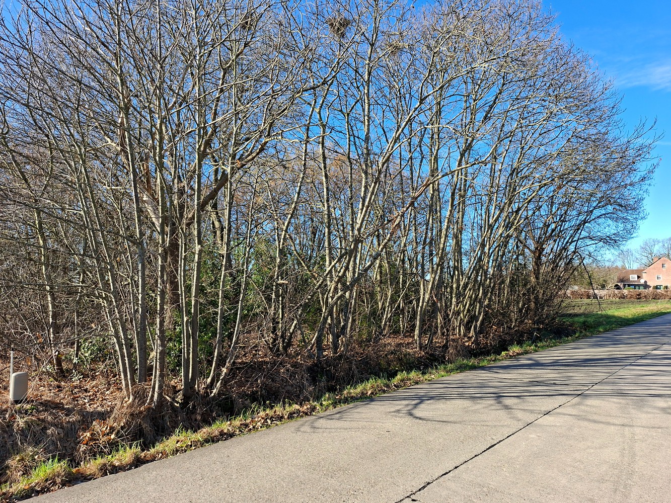 Terrain à vendre à Houtvenne - photo 4