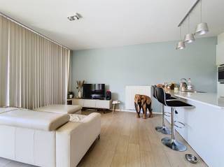 <p><span>Mooi gemeubeld appartement op het Eilandje.</span></p><p><span> </span></p><p><span>Dit gemeubeld appartement is gelegen in een recent appartementsgebouw op een toplocatie op het Eilandje, vlakbij winkels, restaurants, scholen en openbaar vervoer. Ook park Spoor Noord, het MAS en de Scheldekaaien zijn op wandelafstand. Het gebouw is voorzien van een lift en van een vuilnis- en fietsenberging. </span></p><p><span>Het appartement zelf bestaat uit een inkomhal, een zeer lichte woonkamer met open keuken en eettoog (geïnstalleerd met keramisch kookvuur, dampkap, ijskast, vaatwasser en combi-oven). Aansluitend is er een gezellig zuid-gericht terrasje. Achteraan het appartement ligt de slaapkamer, de badkamer met dubbele wastafel en grote inloopdouche, het apart toilet en de berging met aansluiting voor wasmachine. Overal is tegelparket voorzien; dit zorgt voor een mooie uitstraling en ruimtelijk gevoel maar ook voor makkelijk onderhoud. Alle kamers zijn bovendien voorzien van lichtarmaturen en van gordijnen. </span></p><p><span> </span></p><p><span>Vaste kosten: 105,- euro per maand ( inclusief beheer gebouw, onderhoud algemene delen, onderhoud en keuring lift, elektriciteit en water van de algemene delen, onderhoud brandbeveiliging, ruimen beerput)</span></p><p><span> </span></p><p><span> </span></p>