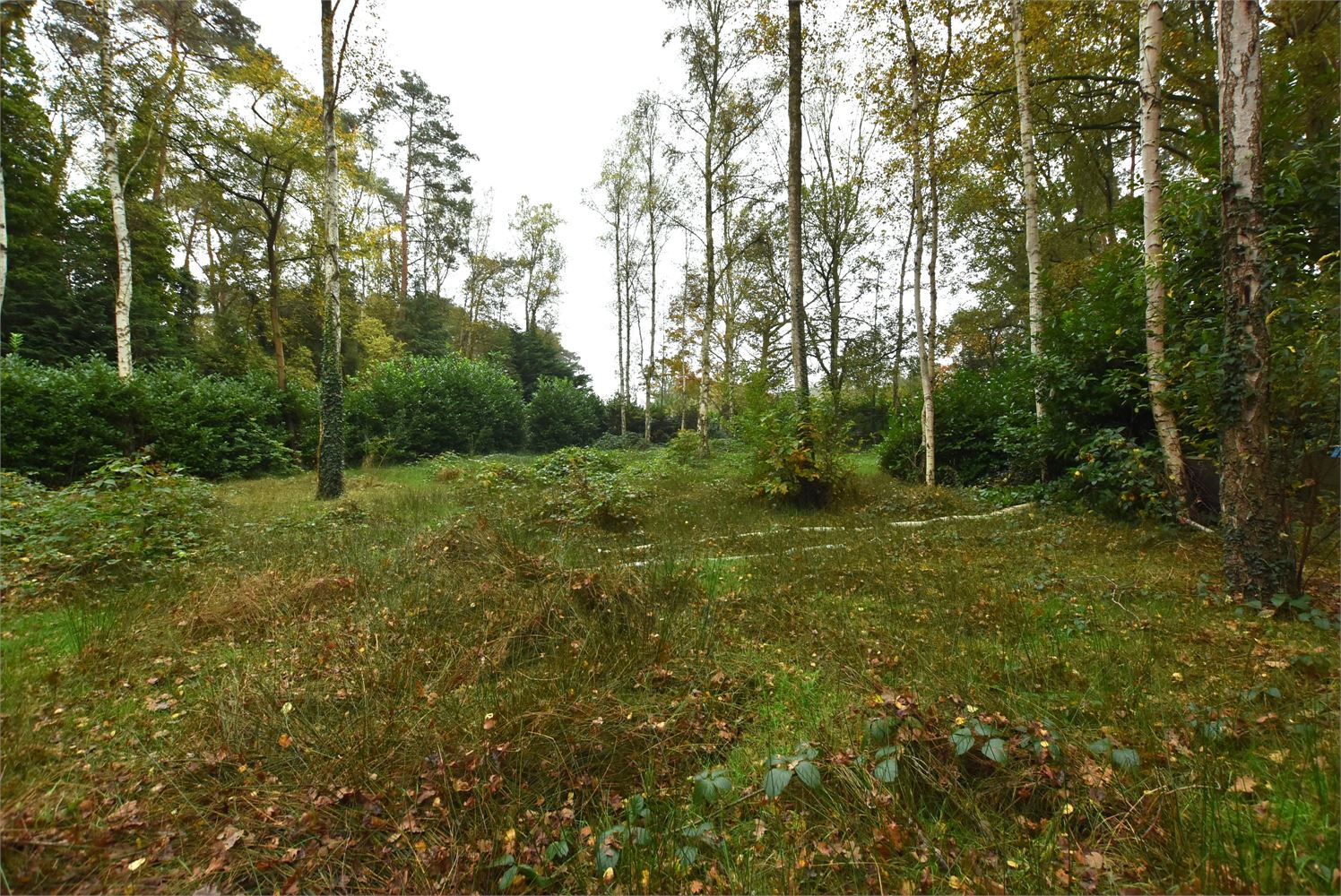Gezellige chalet gelegen op ruim perceel - foto 4