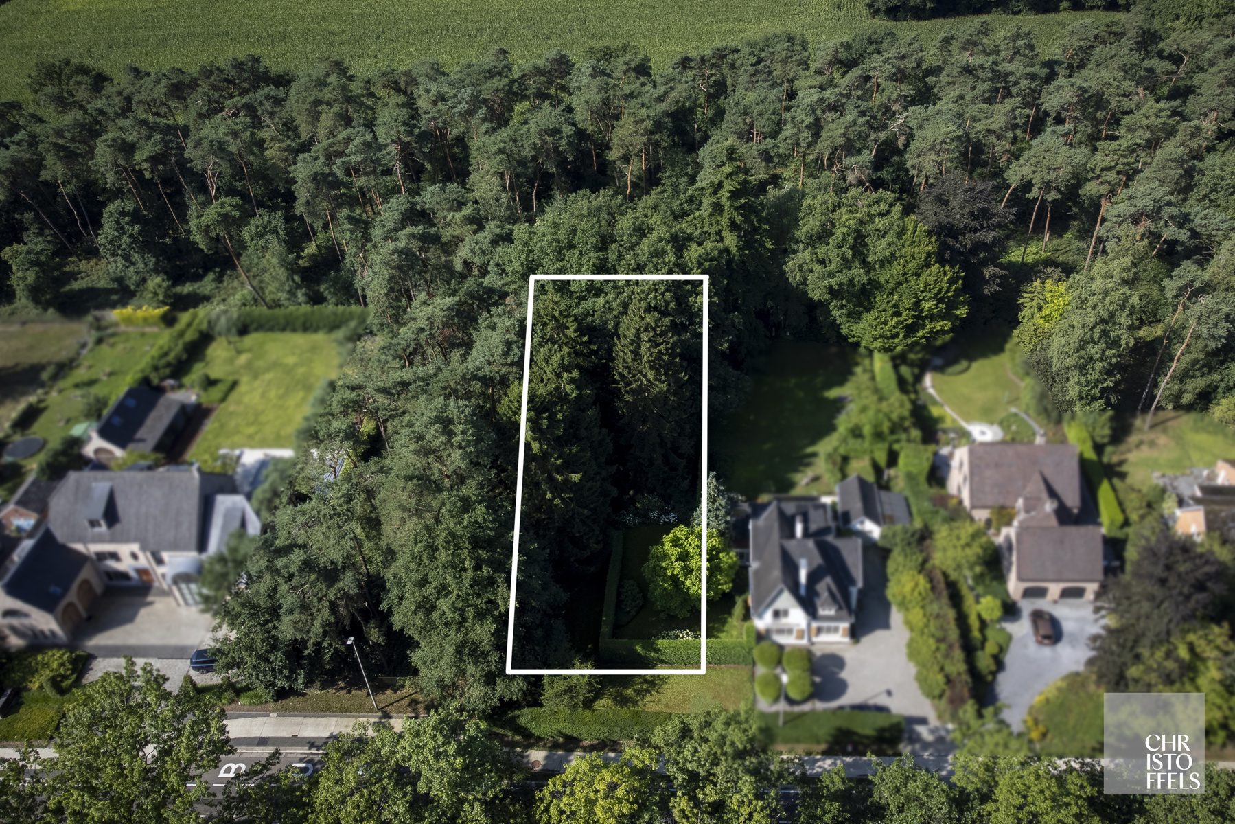 Land for sale in Zutendaal - photo 3