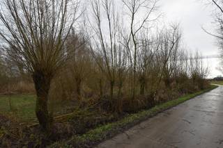 Land for sale in Dendermonde