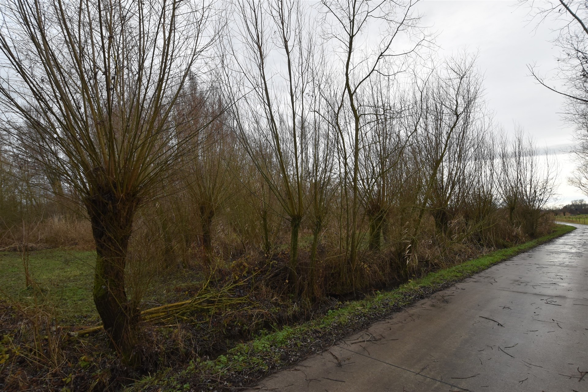 Land for sale in Dendermonde - photo 2