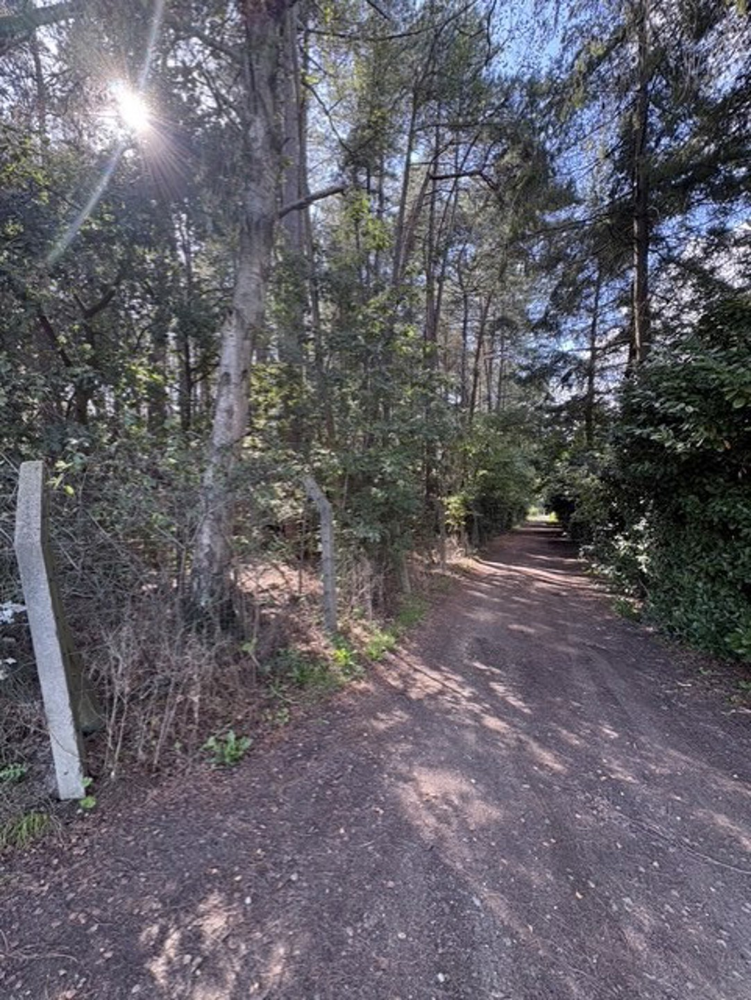 Unieke recreatiegrond van 1,26 Ha. met vakantiewoning. - foto 5