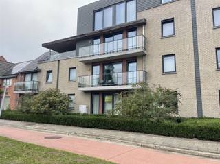 <p><span>Leuk gelijkvloers 1-slpk appartement te Dendermonde (Appels)</span></p><p><span>Dit gezellige en instapklare appartement biedt een aangename indeling met een inkomhal en apart gastentoilet voor extra comfort. De lichtrijke woon- en leefruimte sluit mooi aan op de open, volledig geïnstalleerde keuken. Verder is er een praktische berging of wasplaats, een ruime slaapkamer met ingemaakte kasten rondom het bed en een moderne badkamer met inloopdouche en stijlvol lavabomeubel.</span></p><p><span>Een bijkomend pluspunt is de aparte kelderberging (B.6), ideaal als extra opslagruimte. Het appartement heeft een E-peil van 73 en een conforme elektrische keuring tot 25 januari 2038. Alle raamdecoratie en lichtarmaturen zijn voorzien door de verhuurders, en het volledige appartement werd recent opnieuw geschilderd in een neutrale witte tint.</span></p><p><span>De maandelijkse huurprijs bedraagt €740, vermeerderd met € 30 algemene kosten voor de syndicus. </span></p><p><span>Het appartement is beschikbaar vanaf 1 januari 2027. Dankzij de gunstige ligging nabij de fiets- en wandeldijk, bushalte, scholen en op slechts enkele minuten van het centrum van Dendermonde, is dit een ideale plek voor wie rustig maar toch centraal wil wonen.</span></p><p><span>Bezoek of info gewenst, neemt u contact op T. 052 55 55 55 | <span>info@immotwins.be</span></span><span> | <span>www.immotwins.be</span></span><span> </span></p><p><span> </span></p><p><span> </span></p>