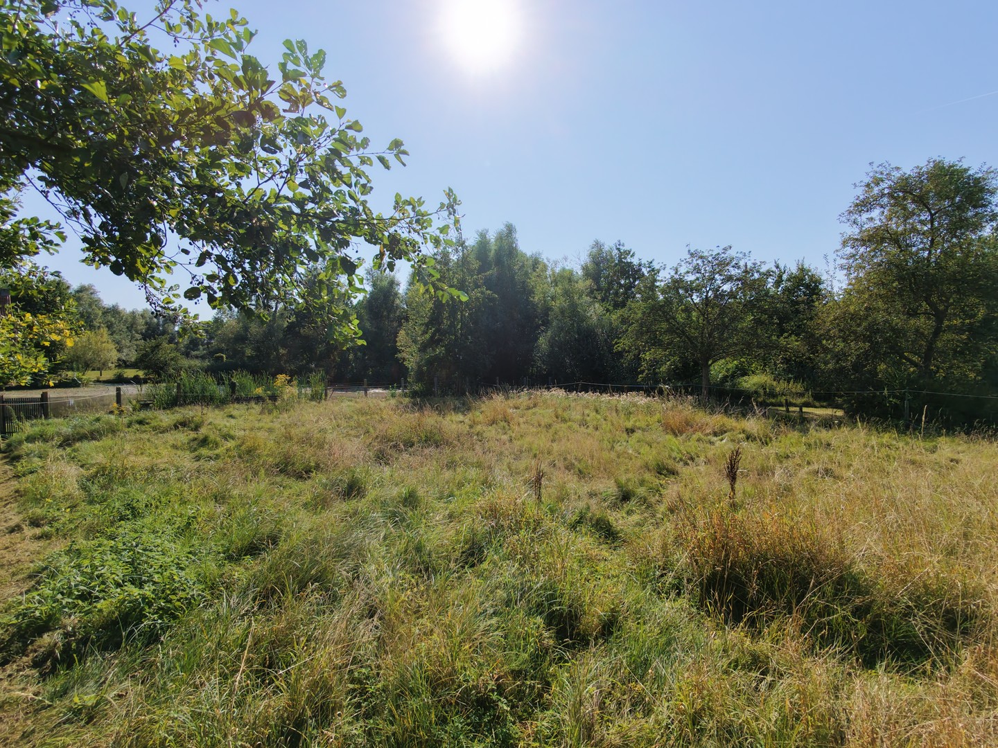 Toegankelijk stuk weidegrond op prachtige locatie - photo 5