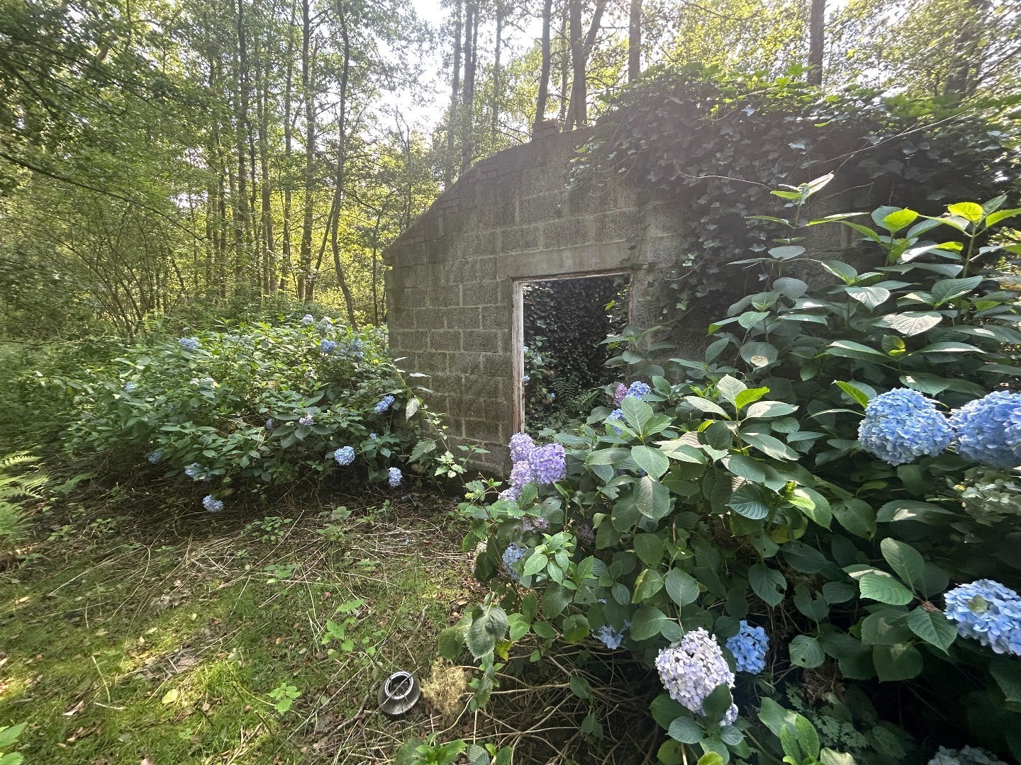 Uniek perceel van 87 are en 84 ca. met vijver in Geel - foto 5