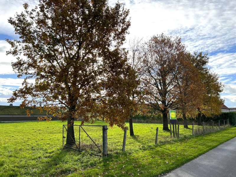 mooi perceel bouwgrond in Houthulst-Merkem - foto 4