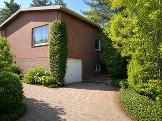 Maison à vendre à Maaseik