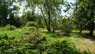Perceel bouwgrond van 8 are 80 ca voor open bebouwing met mooi achterzicht op groene omgeving. <br />West georiënteerd.<br />Gunstig gelegen vlakbij en op wandelafstand van centrum en scholen.<br />Bouwbreedte: 9m maximum - bouwdiepte: gelijkvloers 15m maximum en 12m maximum op verdieping.<br />Dakhelling tussen 0° plat dak en 45° hellend dak.<br />Kroonlijsthoogte: 6m50 maximum bij plat dak en 6m maximum bij hellend dak. <br />Geen bouwverplichting. <br />Opmetingskosten ten laste van kopers 1.800 euro.<br />Stedenbouwkundige vastgoedinformatie in aanvraag (woongebied - geen maatregelen in het Vlaams handhavingsplatform).<br />Geen risicozone voor overstromingen - perceelscore C en achteraan op het perceel D fluviaal.
