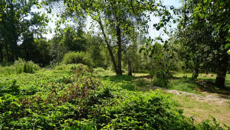 Bouwgrond 8 are 80 ca open bebouwing vlakbij centrum met mooi achterzicht op groene omgeving - photo 1