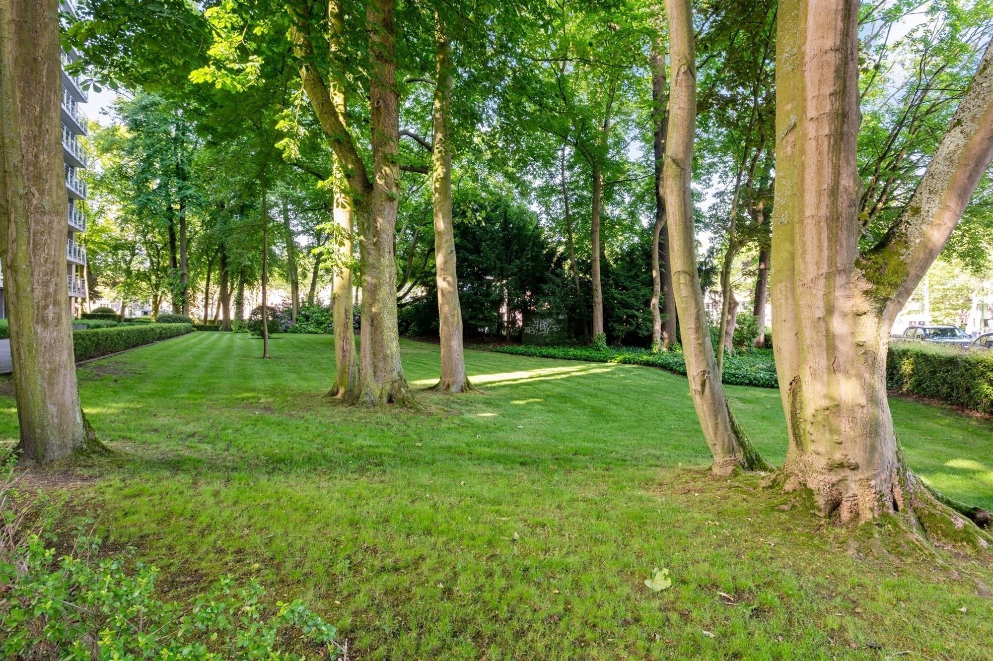 Hoekappartement op het Zuiden tussen het groen - foto 5