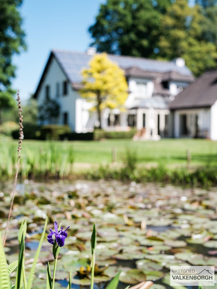 Exclusief wonen in alle rust en privacy, omringd door natuur, op een perceel van 2,4ha. - foto 5