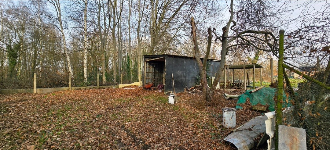 Grond te koop in Kuringen - foto 4