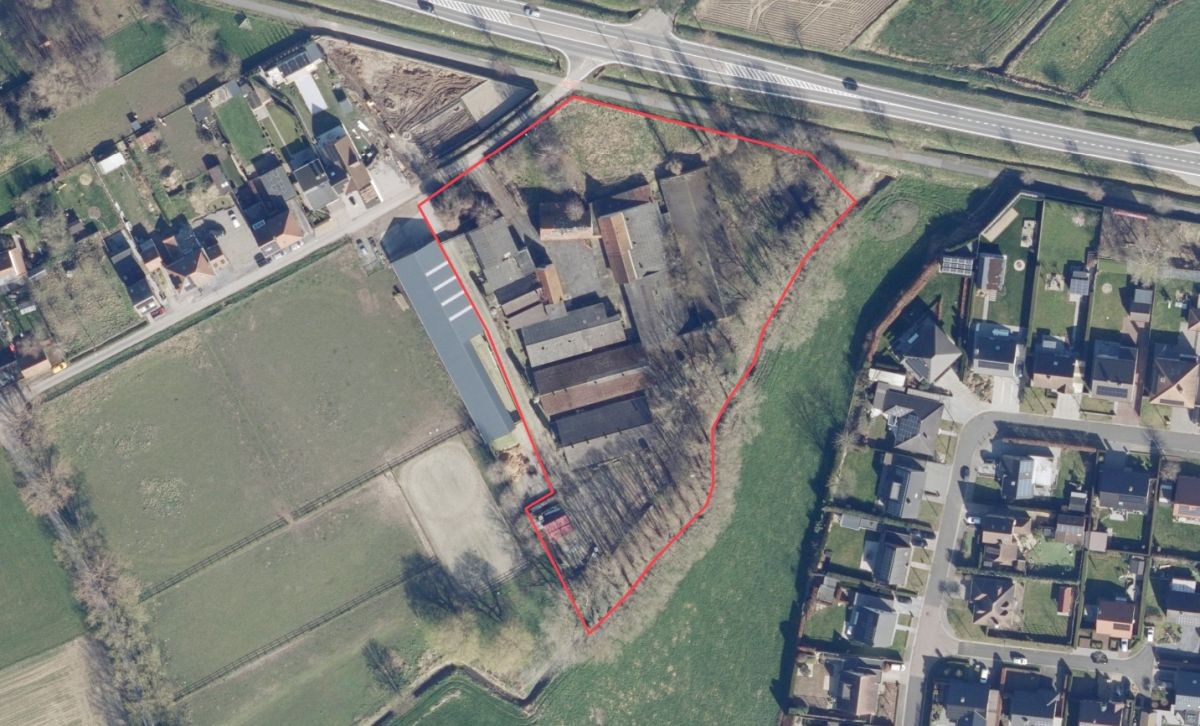 Varkensbedrijf te koop te Bavikhove - photo 5