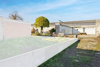 Op een zeer gunstige locatie vinden we deze magazijn(hangar).Het magazijn die nog afgewerkt moet worden heeft een oppervlakte van 240 vierkante...