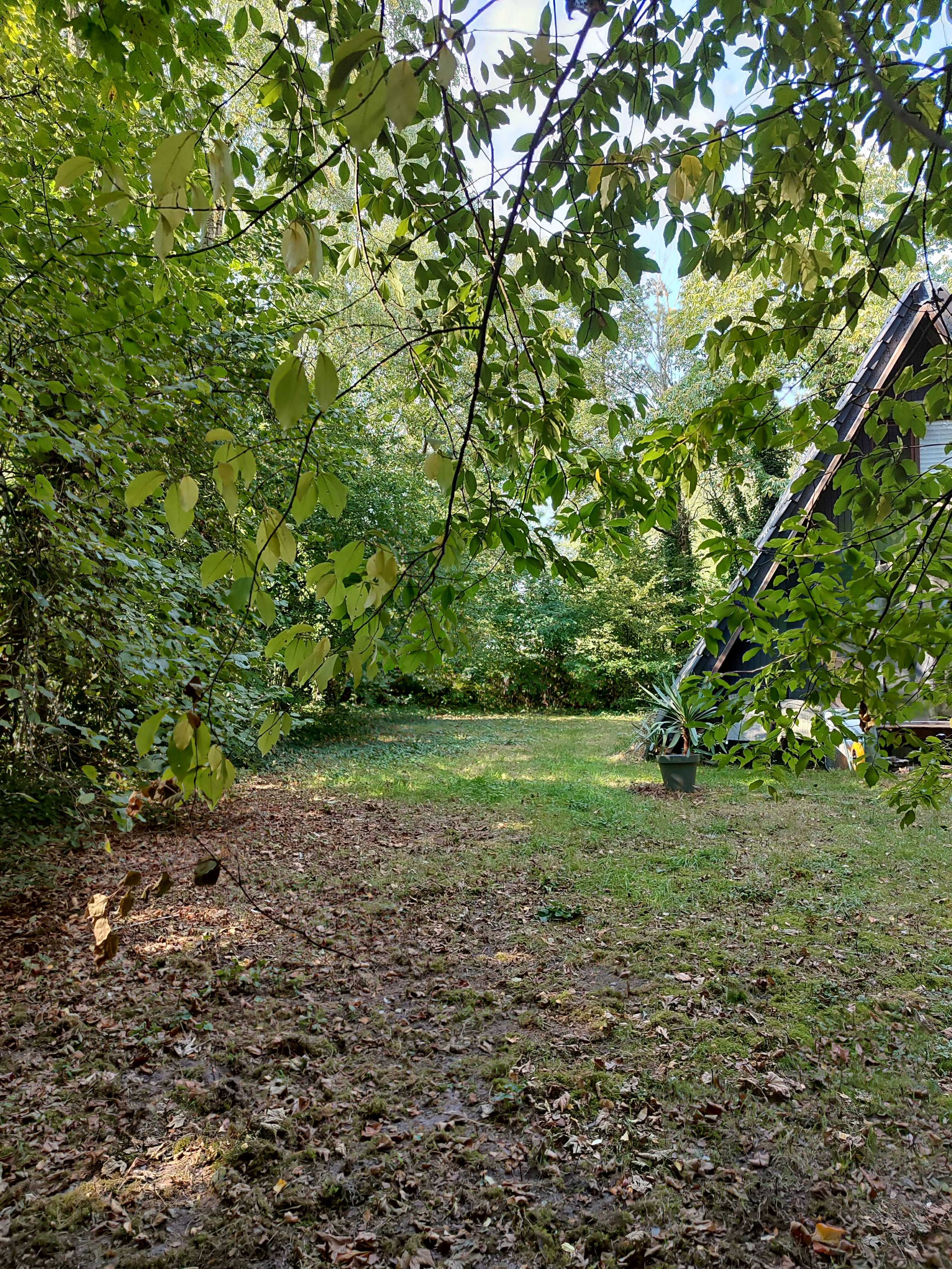 Grond te koop in Brecht - foto 1