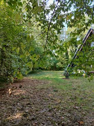 Bouwgrond op topligging, in doodlopende straat met zuid georienteerde tuin. 1000m² met 25m straatbreedte en af te breken woning = registratiekosten 2 ipv 12%, bouwen aan 6 ipv 21% + alle aansluitingen aanwezig.
