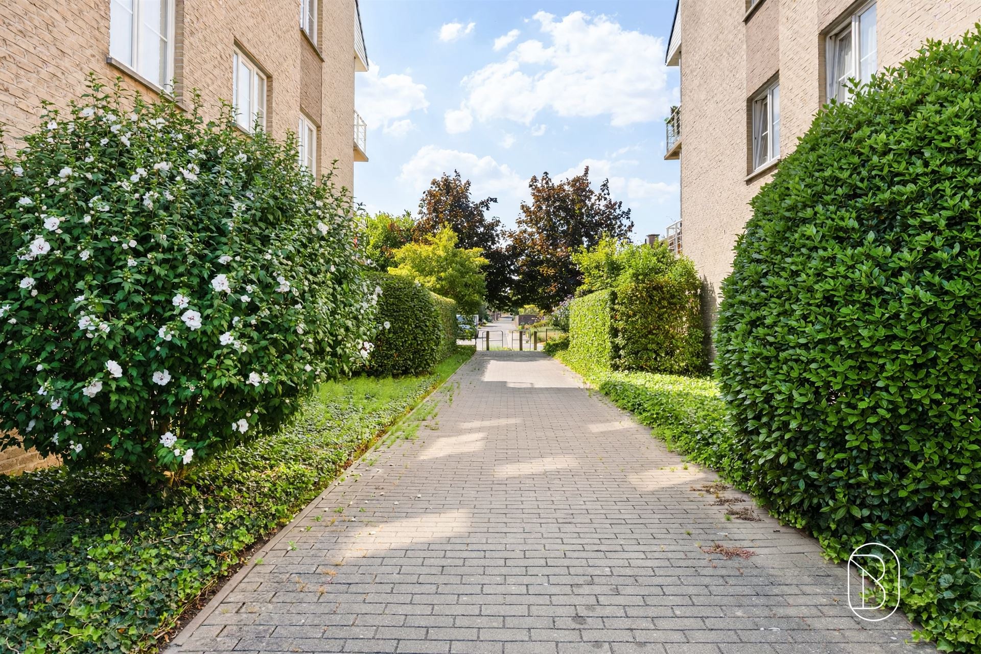 Appartement - photo 4