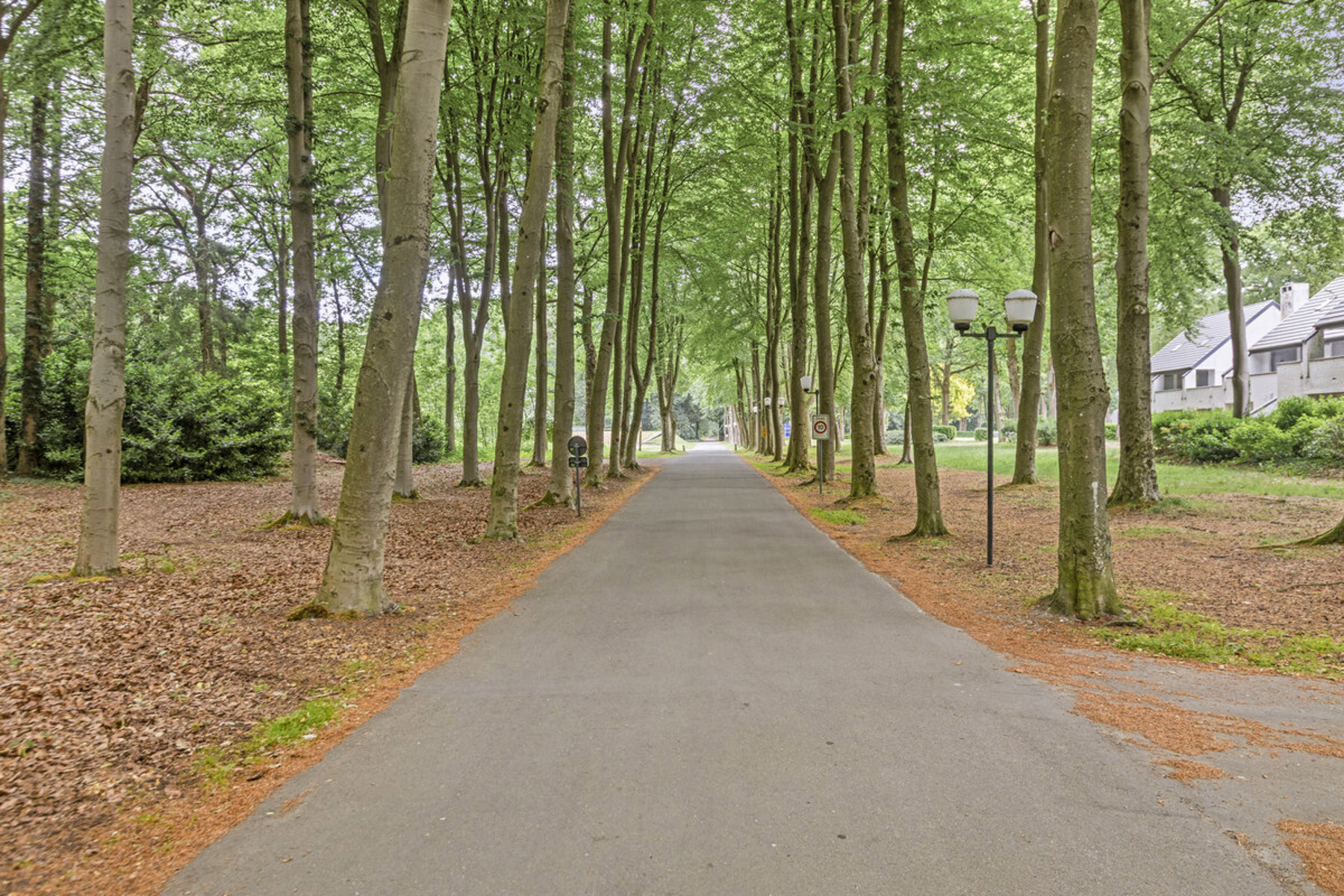  15 aantrekkelijke vakantiewoningen: INVESTEER IN RENDEMENT OF IN PUUR VAKANTIEGENOT!  - foto 2