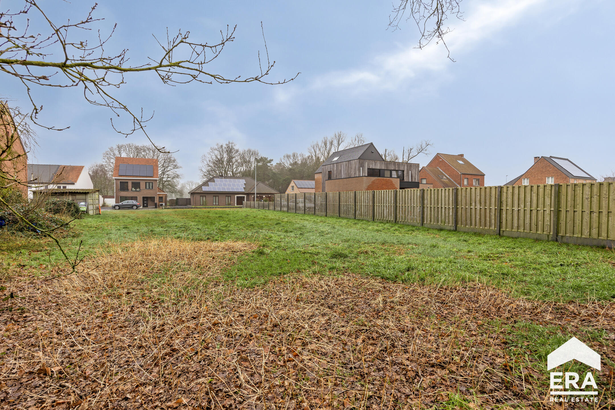 Land for sale in Olmen - photo 4