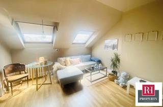 In de wijk Bascule/Louise/Bois de la Cambre, gelegen in een typisch Bourgeoise & Brussels huis, presenteren we deze gezellige GEMEUBILEERDE STUDIO...