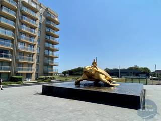 Ontdek dit charmant appartement te koop in hartje Nieuwpoort-Bad. De lichtrijke woonkamer met aansluitend terras nodigt meteen uit om te...