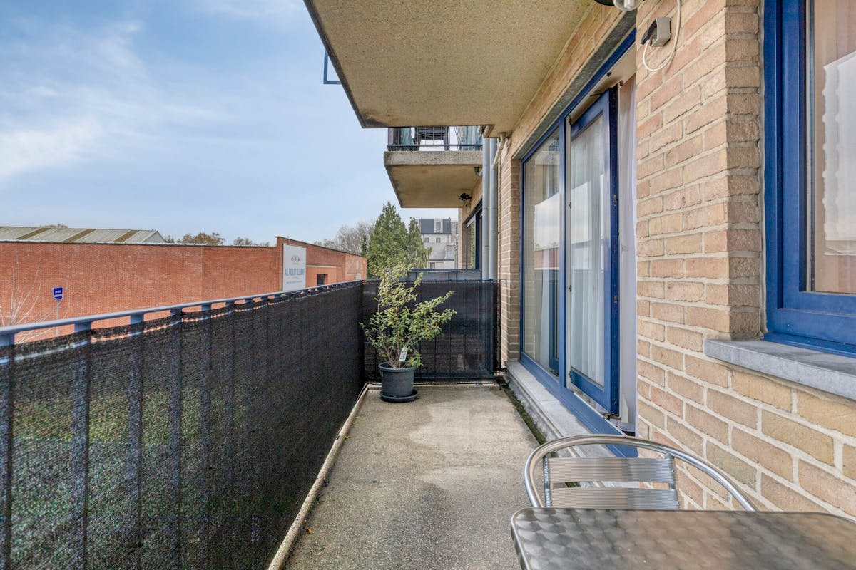 Energiezuinig appartement met 2 slaapkamers, garage en terras te koop in Hoboken - foto 5