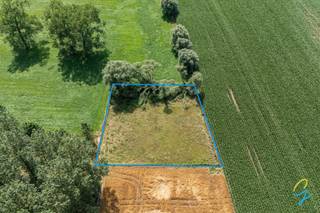 Landelijk gelegen weiland "Hooge Hooybosch" van 18a10ca<br />Rustig gelegen weiland met een oppervlakte van 1.810 m², gelegen in het landelijke Zandbergen, in landschappelijk waardevol agrarisch gebied.<br />Het perceel is volledig omheind en bereikbaar via een losweg, met ingang ter hoogte van Bovenkassei 122 te 9506 Zandbergen. Op het perceel staat reeds een schuilhok, alsook enkele knotwilgen. Vrij van gebruik.<br /><br />Meer info? Bel Jordi 0477/32.61.53
