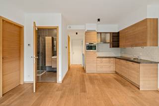 Pal in het kloppende hart van ’t stad vind je in de bruisende Harmoniewijk dit gezellig en knus appartementje terug omringd door hippe...