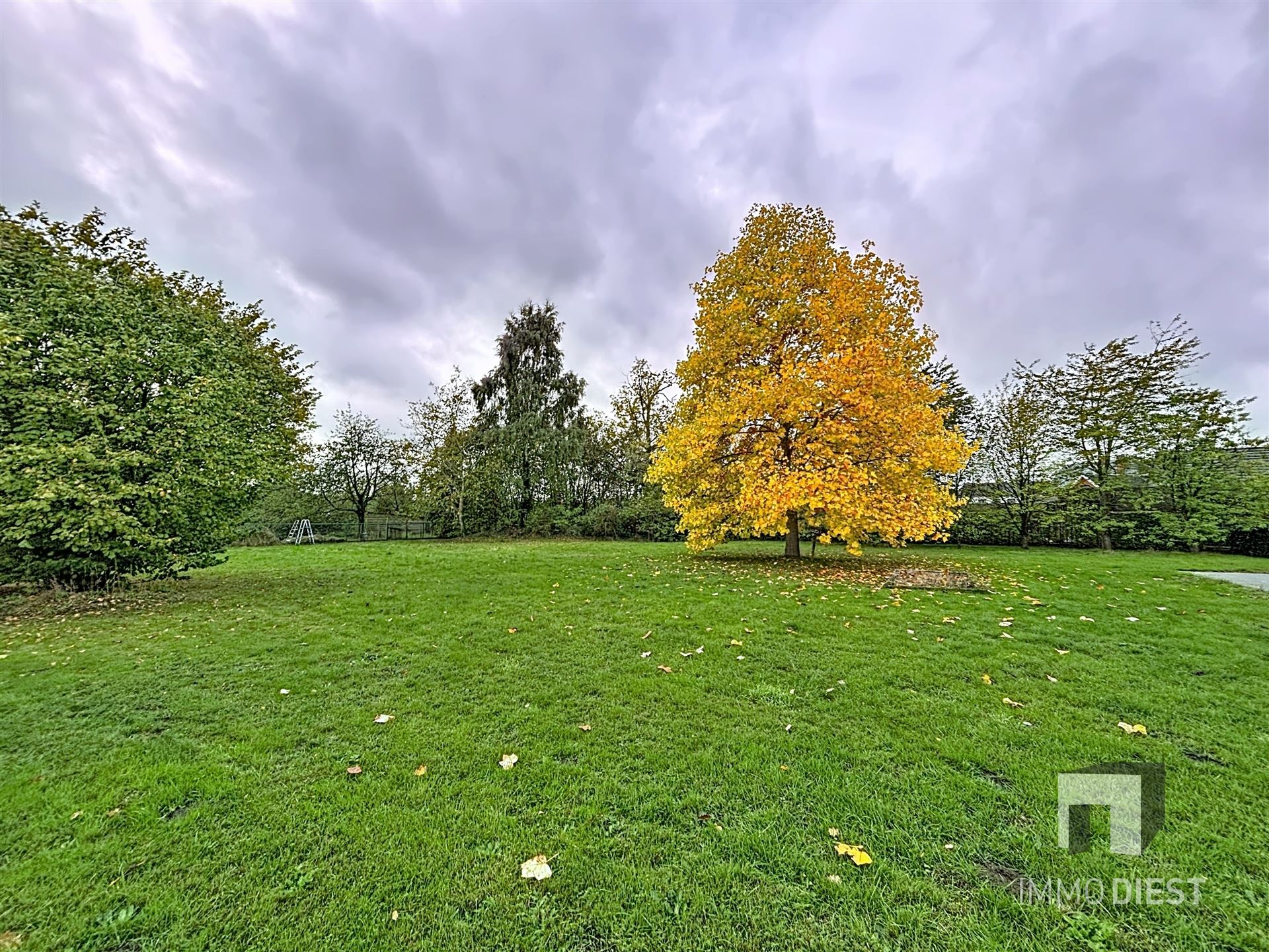 Maison à vendre à Tessenderlo-Ham avec 6 chambres - photo 5