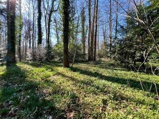 Land for sale in Enghien