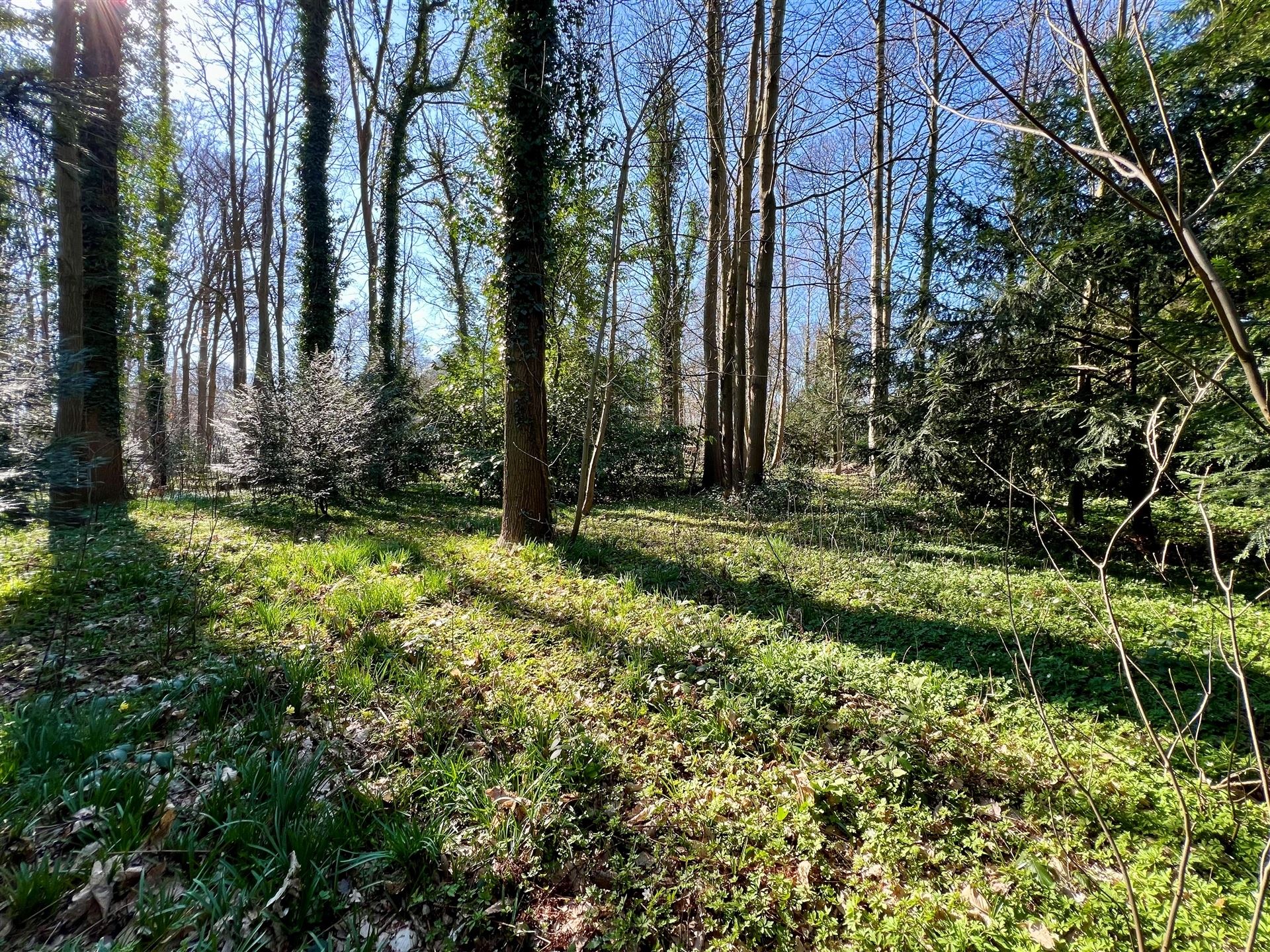 Land for sale in Petit-Enghien - photo 3