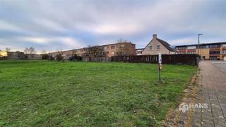 <p><span>Grond van 528m² voor het bouwen van een 1 gezinswoning. Perceel 16m op 33m. Gevel van 10m en diepte 17m.Bouwvoorschriften zijn opgevraagd bij de gemeente Stabroek voor meer info www.hansimmo.be</span></p>