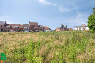 Land for sale in Meerhout