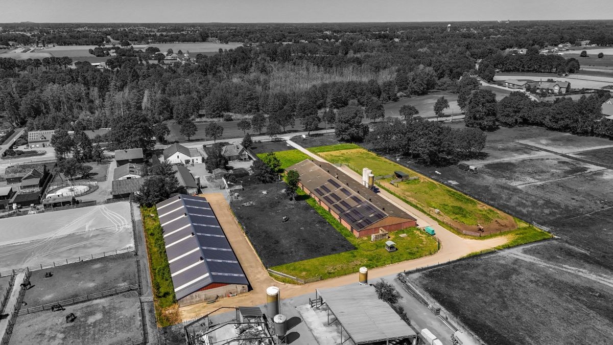 Vleeskalverenbedrijf te koop te Oudsbergen - foto 2