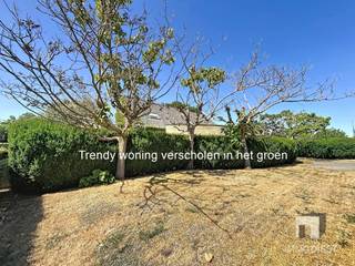 House for sale in Tessenderlo-Ham