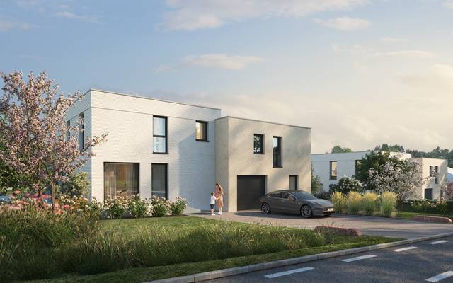 Project te koop in Nederhasselt