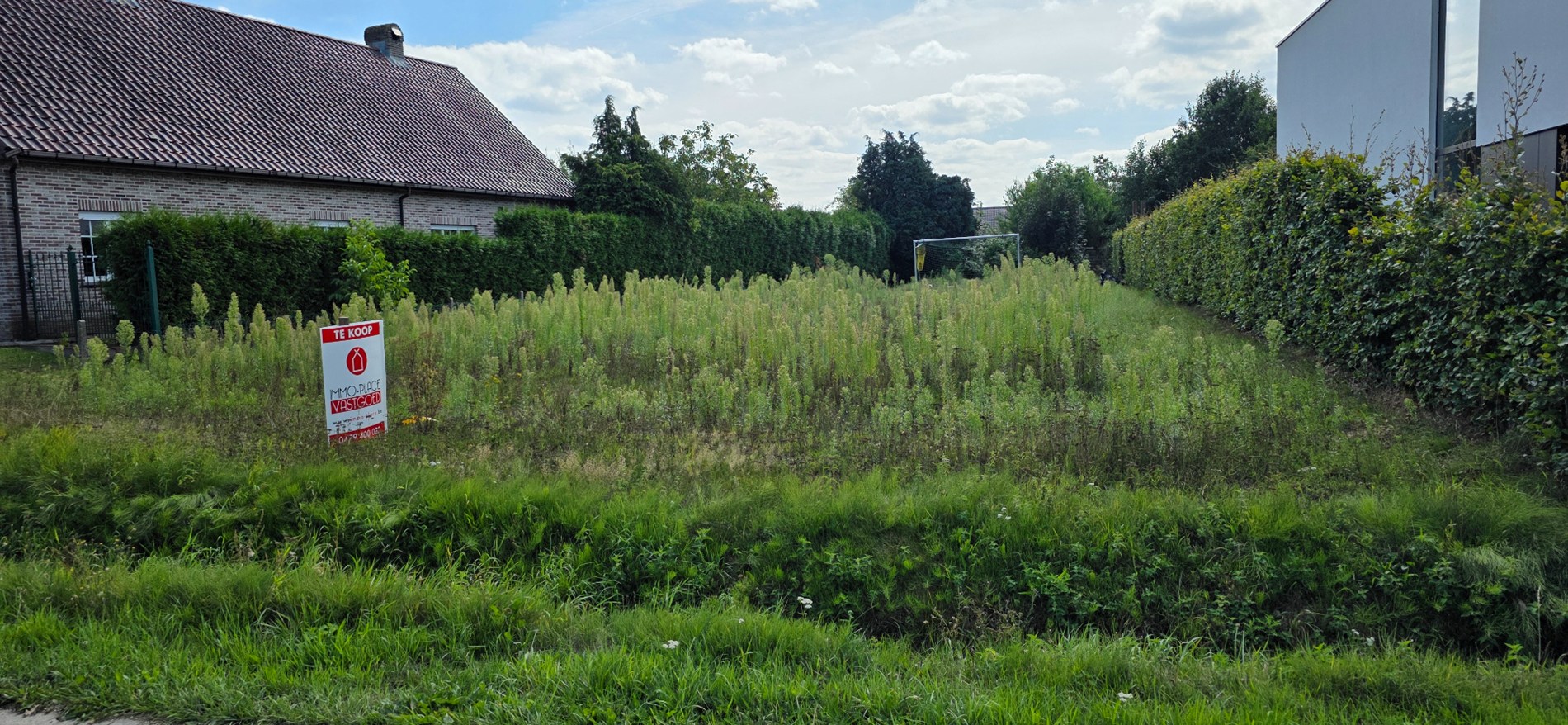 Zuid gerichte bouwgrond op 200m van de kerk van Pulderbos - foto 4