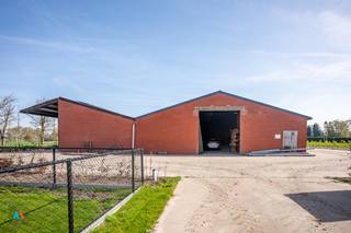 Commercial for rent in Rijkevorsel