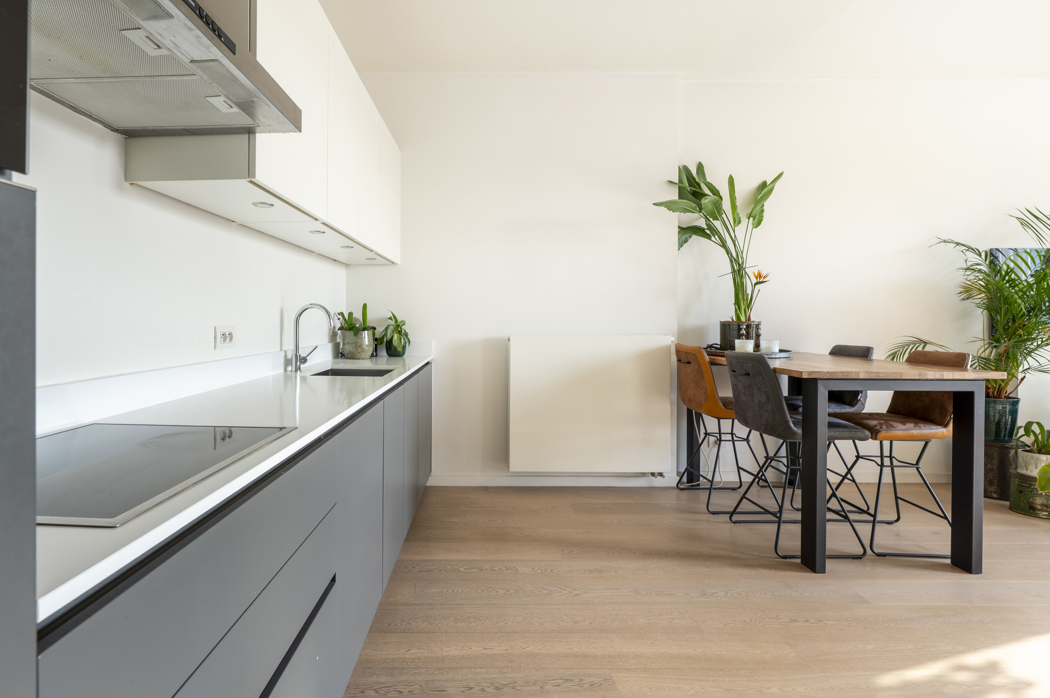 Apartment for rent in Antwerp with 1 bedroom - photo 4