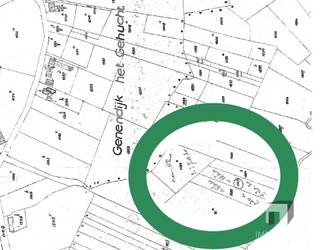 Privé natuurgrond (7.945 m²) in Tessenderlo-Ham – 3 aaneensluitende percelen in natuurgebiedZin in een plek waar u de drukte achter u laat en opnieuw...