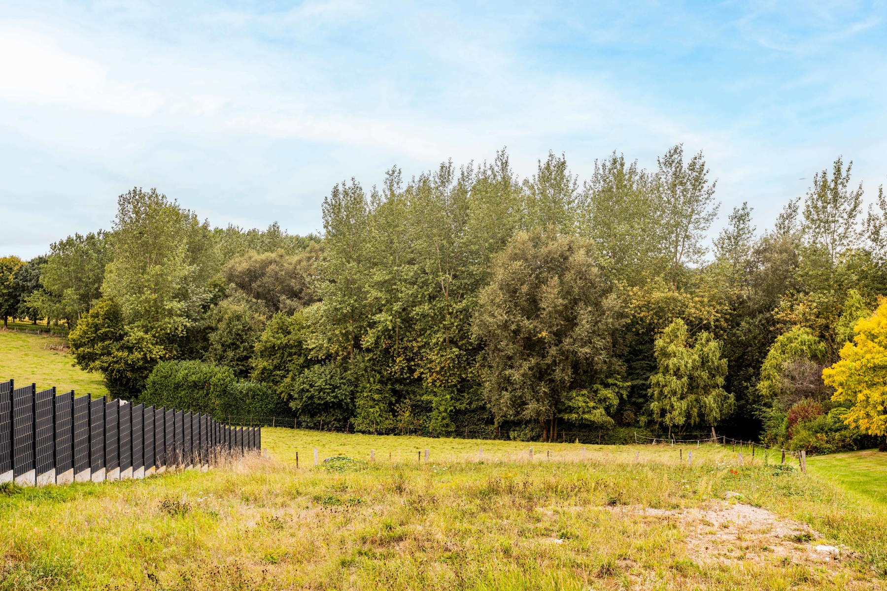 Terrain à vendre à Biévène - photo 4