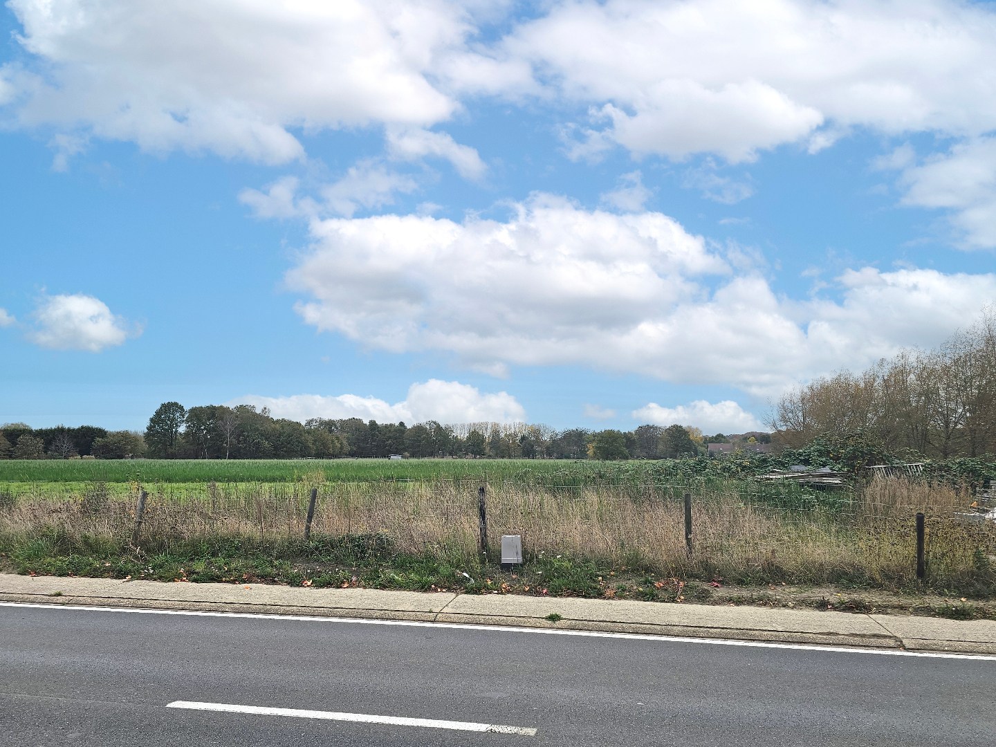 Grond te koop in Begijnendijk - foto 3