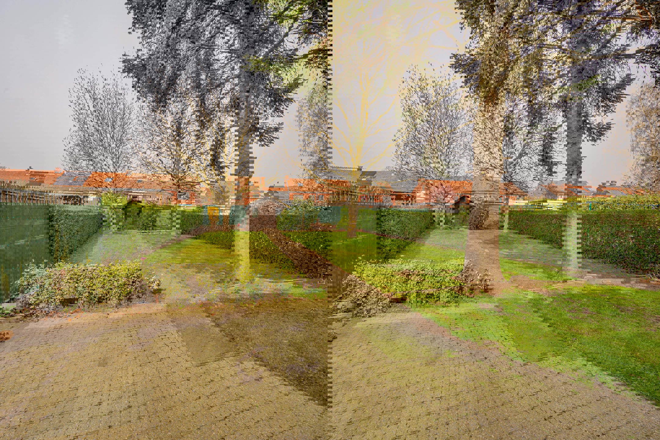 House for sale in Willebroek with 3 bedrooms - photo 3