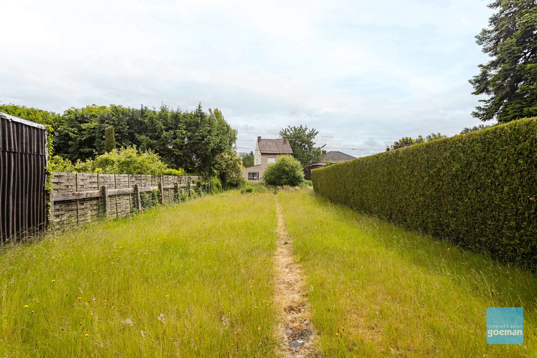 Maison à vendre à Wichelen avec 3 chambres - photo 3